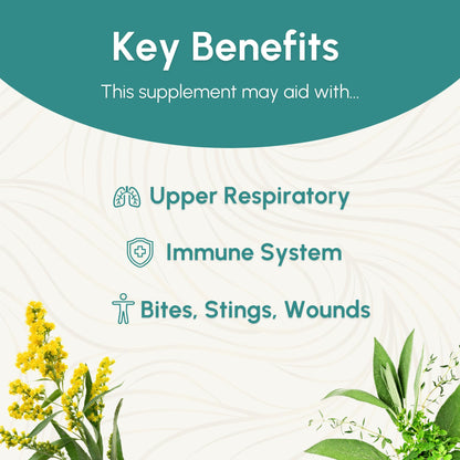 FIVE FLAVORS HERBS Echinacea Root Tincture – Immune Support, Bites & Stings, 2 Fl Oz