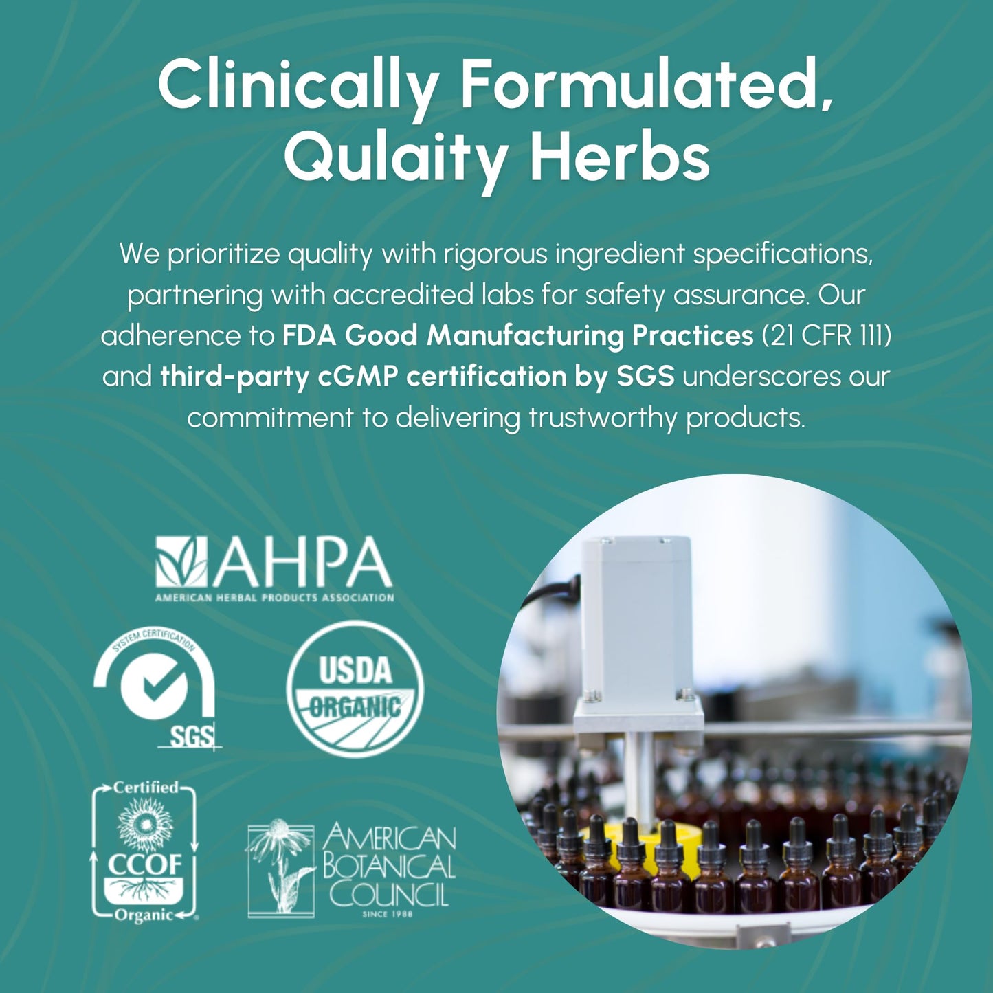 FIVE FLAVORS HERBS Echinacea Root Tincture – Immune Support, Bites & Stings, 2 Fl Oz
