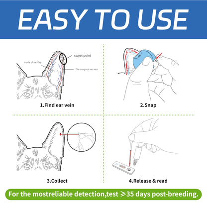 Dog Pregnancy Test Kit at Home - No Blood Draw, 5-Min Results, 98% Reliable