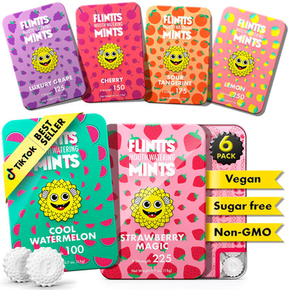 Flintts Mints Fruit Troop – Sugar Free Mints for Dry Mouth Relief & Freshness