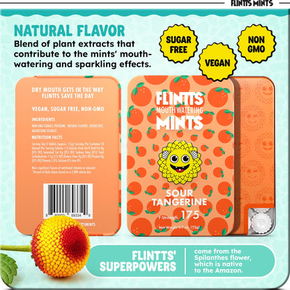 Flintts Mints Fruit Troop – Sugar Free Mints for Dry Mouth Relief & Freshness