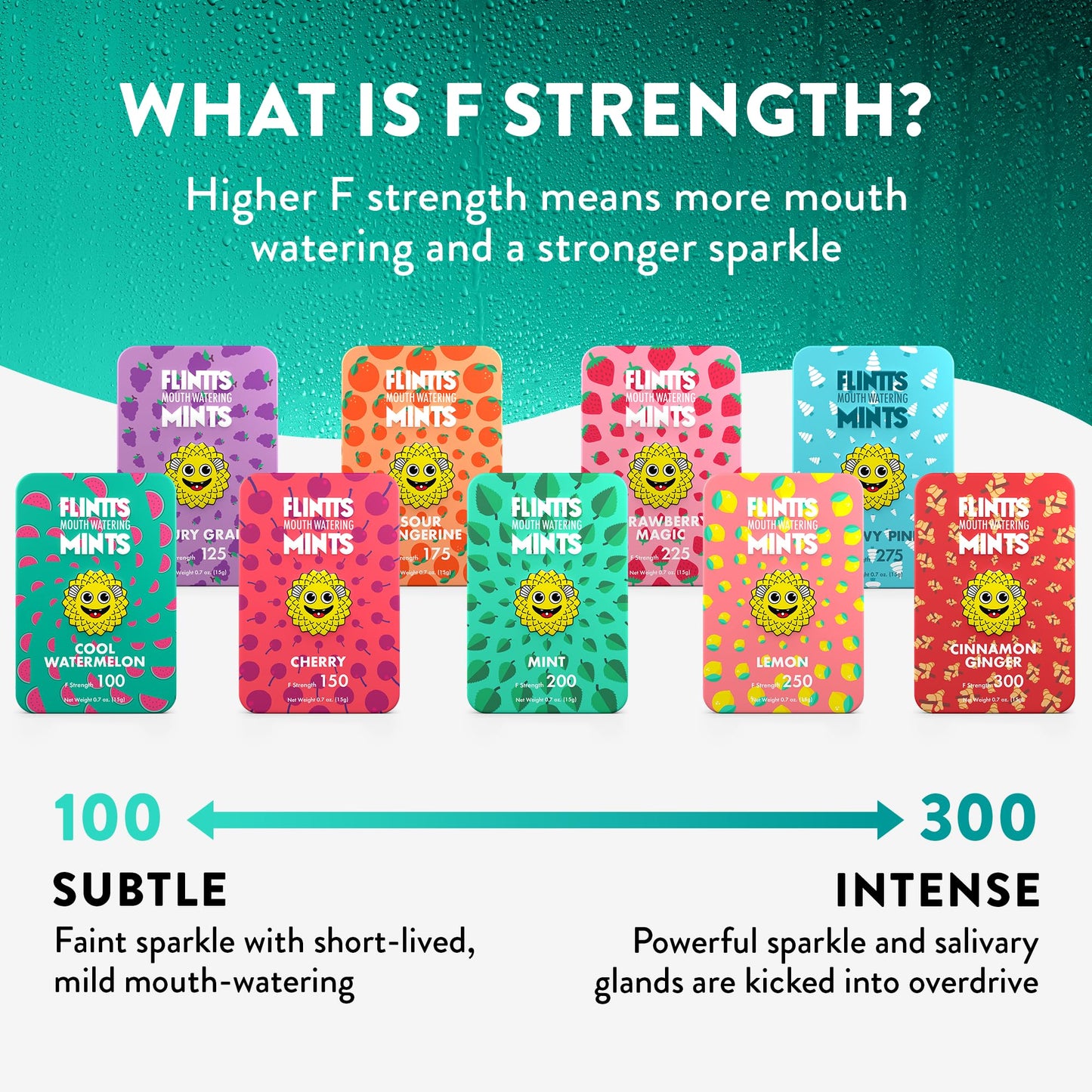 Flintts Mints Full House – Sugar Free Dry Mouth Mints for Fresh Breath | Vegan