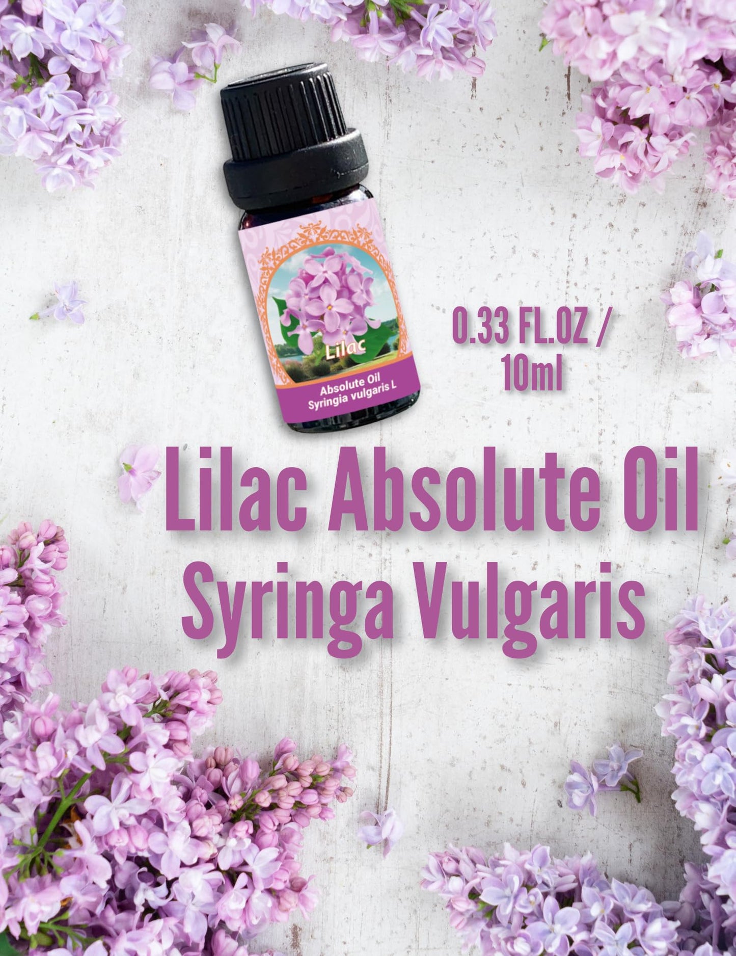 Lilac Absolute Oil | 100% Pure Syringa Vulgaris (Therapeutic Grade) | Flora Aromatics