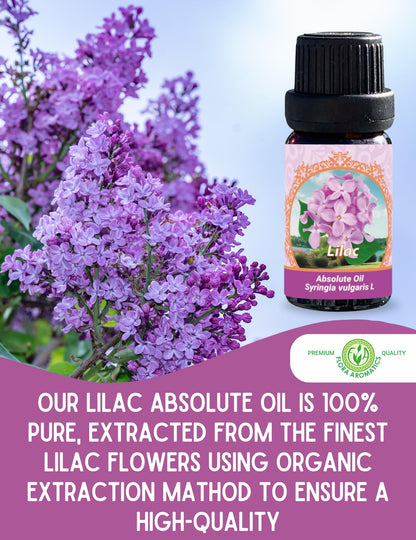 Lilac Absolute Oil | 100% Pure Syringa Vulgaris (Therapeutic Grade) | Flora Aromatics