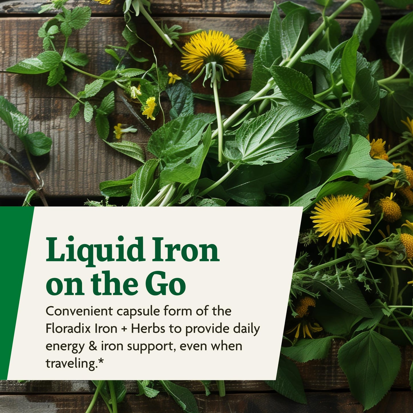 Floradix Iron + Herbs – Vegan Liquid Iron for Energy Support (120 Phyto-Caps)