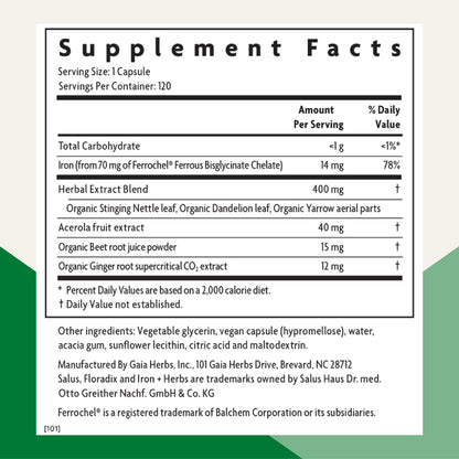 Floradix Iron + Herbs – Vegan Liquid Iron for Energy Support (120 Phyto-Caps)
