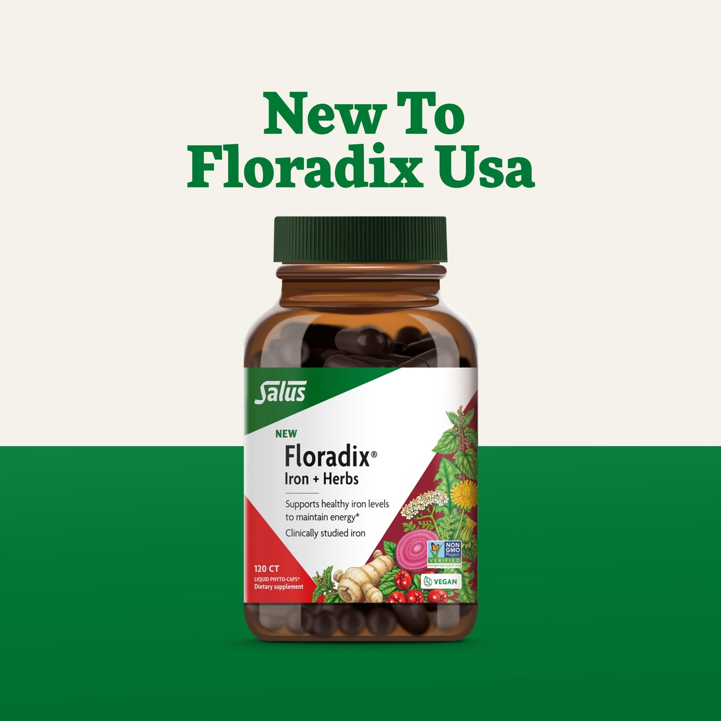 Floradix Iron + Herbs – Vegan Liquid Iron for Energy Support (120 Phyto-Caps)