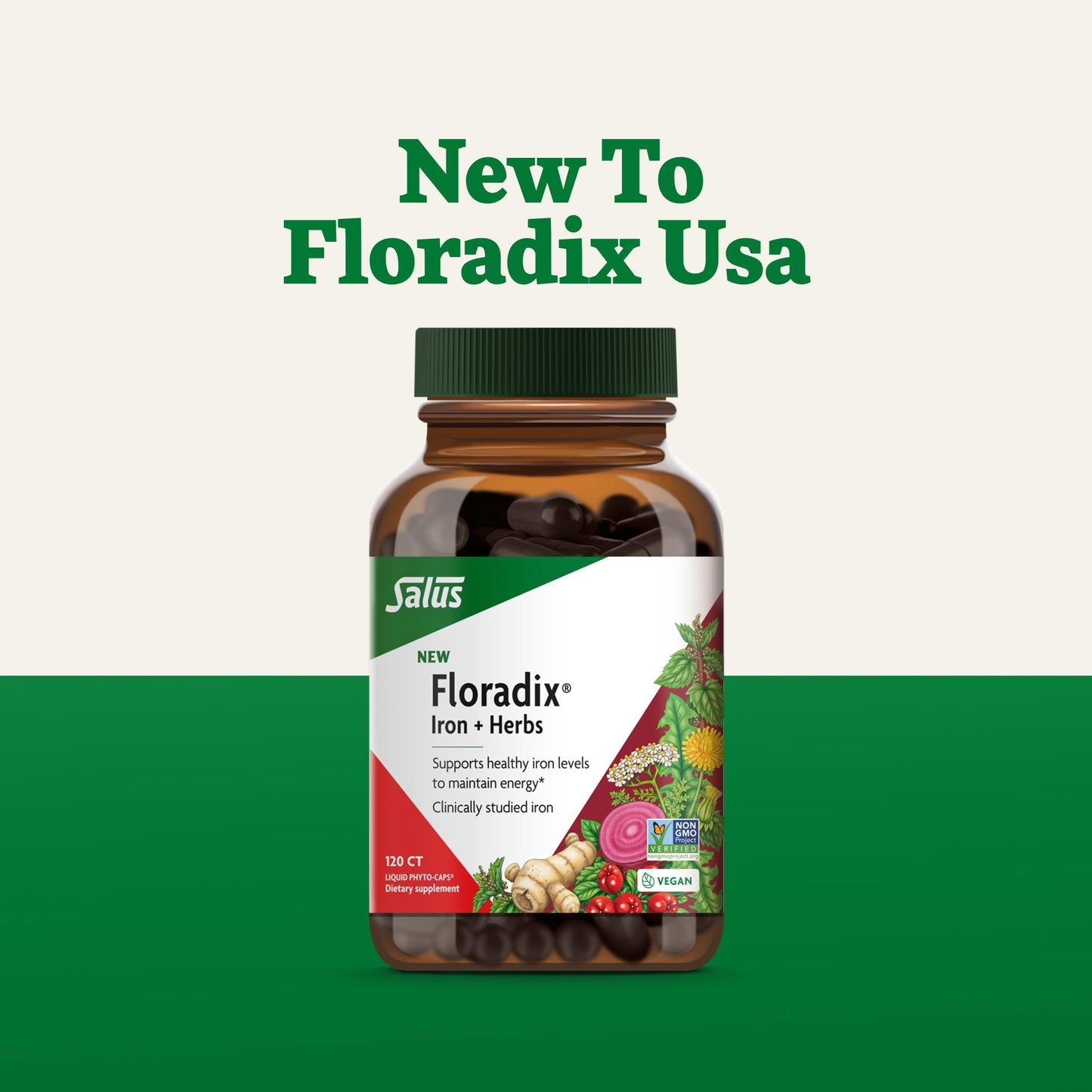 Floradix Iron + Herbs – Vegan Liquid Iron for Energy Support (120 Phyto-Caps)