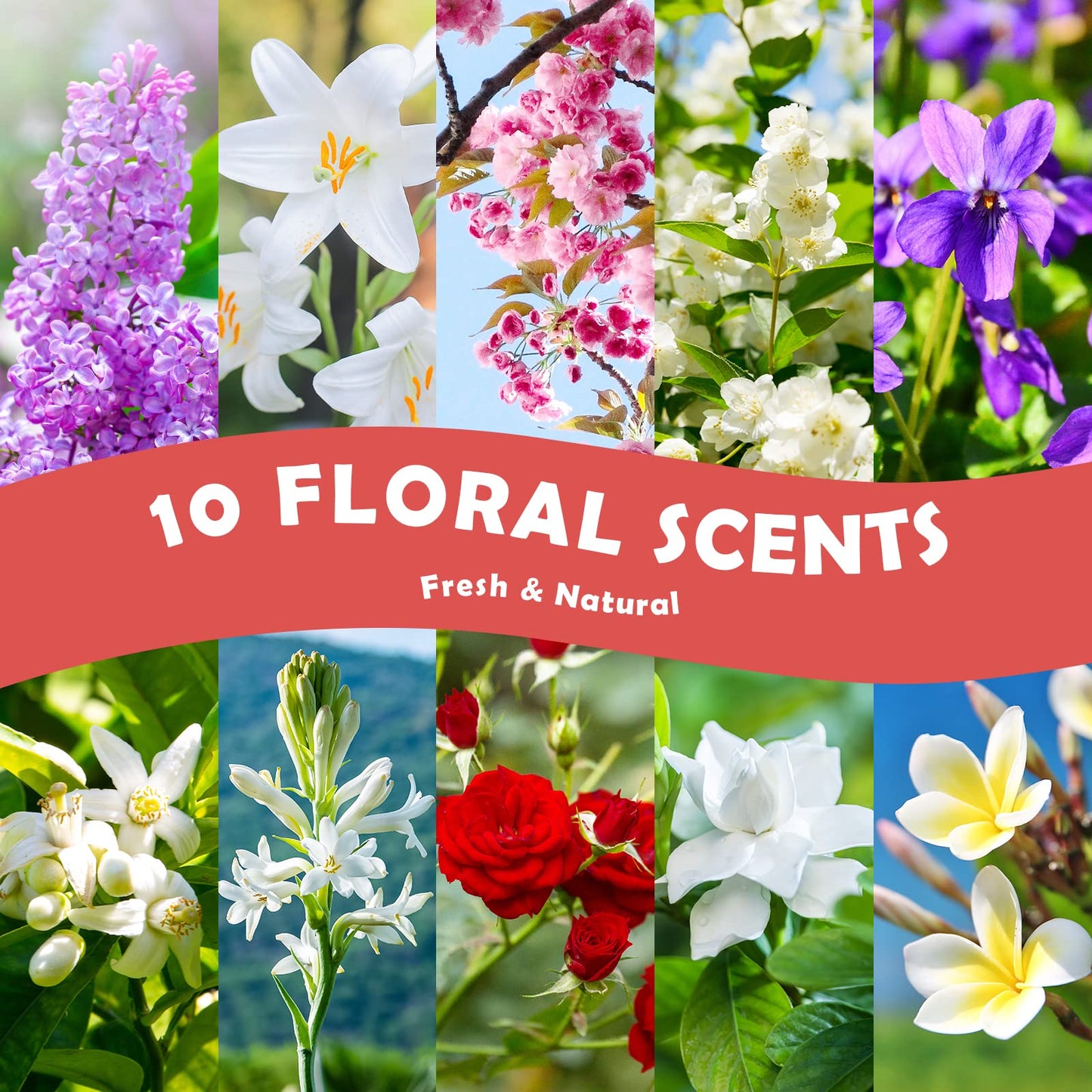 Floral Essential Oils Set – Holamay Premium Fragrance Oils for Candle Making (5ml x10) – Rose, Jasmine, Neroli, Gardenia, Lilac & More