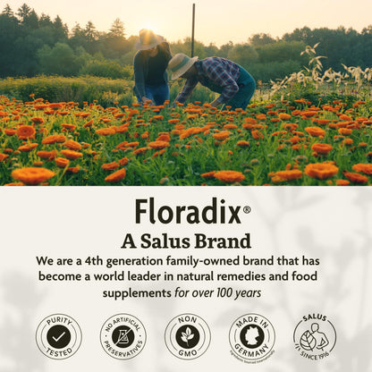 Floradix Floravital Liquid Iron & Vitamin Formula – Vegan Liquid Iron Supplement with C & B Vitamins, Herbs – Gluten-Free, Non-GMO – 8.5 fl oz