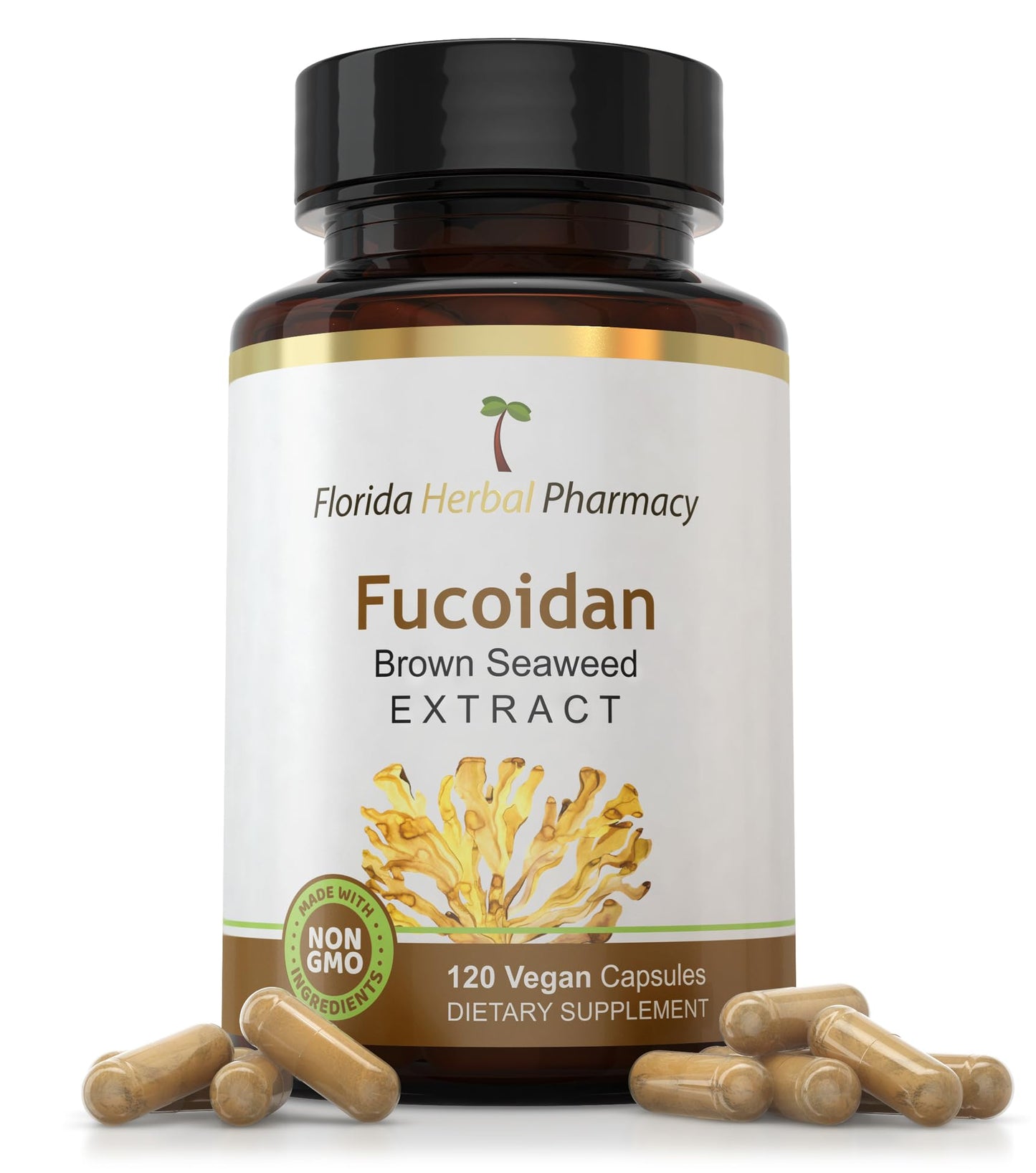 Florida Herbal Pharmacy Fucoidan Supplement Capsules (120 Capsules) 50 mg per Capsule, 100 mg Serving