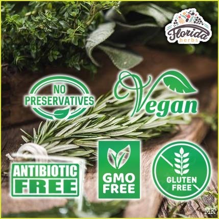 Florida Herbs American Ginseng Tincture – Organic Panax Quinquefolius, Non-GMO, Cold-Pressed Glycerin, 700 mg, 2 oz