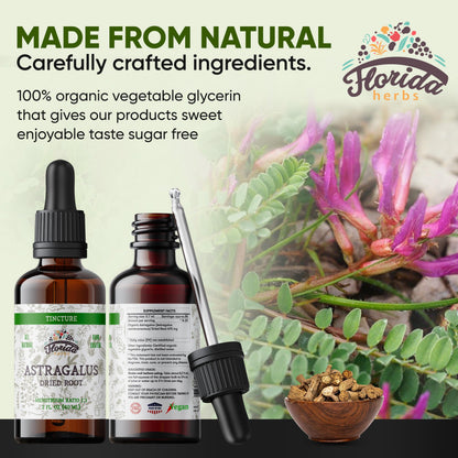 Organic Astragalus Tincture (Non-GMO) 700 mg - Florida Herbs, 2 oz Pack of 2