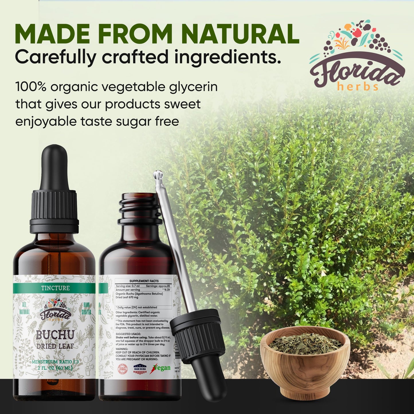 Florida Herbs Buchu Tincture – Organic Buchu Extract (Agathosma betulina), 2 oz Pack of 2, Non-GMO