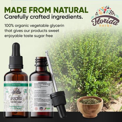 Florida Herbs Buchu Tincture – Organic Buchu Extract (Agathosma betulina), 2 oz Pack of 2, Non-GMO