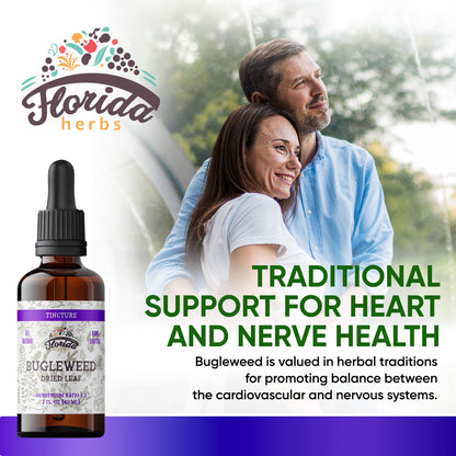 Bugleweed Tincture - Organic Florida Herbs, 2 oz (700 mg) - Non-GMO