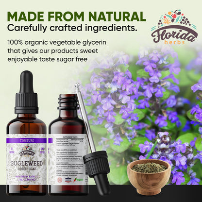 Florida Herbs Bugleweed Tincture - Organic Bugleweed Extract, Non-GMO, 2 oz Pack of 2