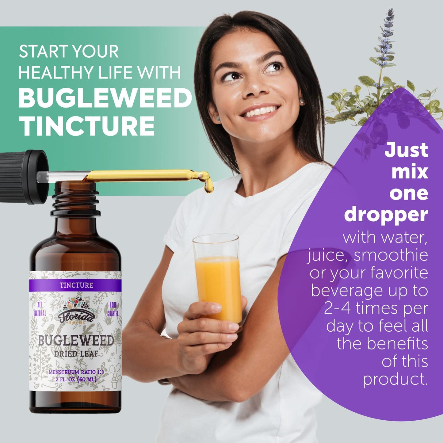 Florida Herbs Bugleweed Tincture - Organic Bugleweed Extract, Non-GMO, 2 oz Pack of 2