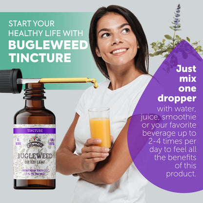 Florida Herbs Bugleweed Tincture - Organic Bugleweed Extract, Non-GMO, 2 oz Pack of 2