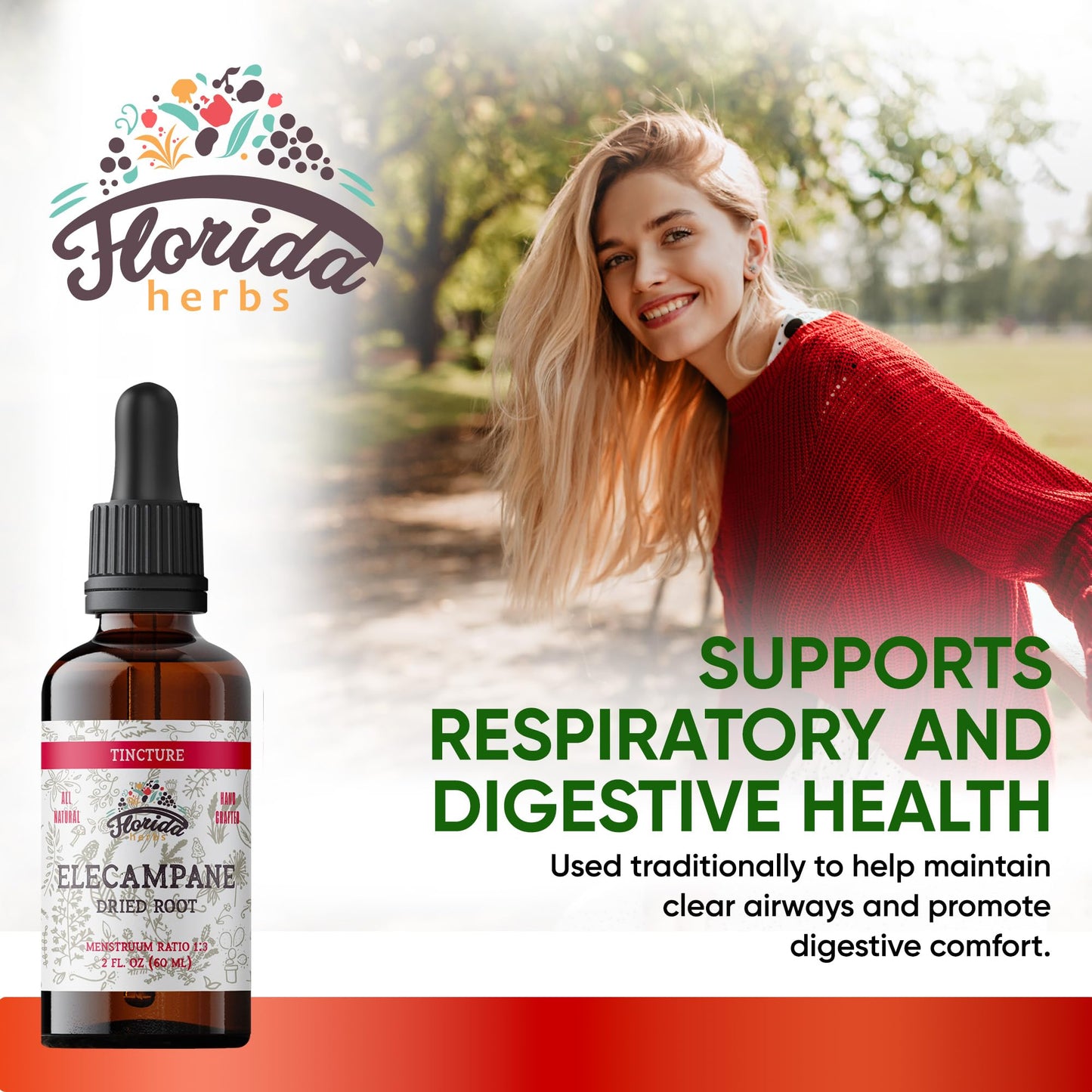 FLORIDA HERBS Elecampane Tincture Organic Elecampane Extract (Inula Helenium) Dried Root - Non-GMO 700 mg 2 oz (60 ml)