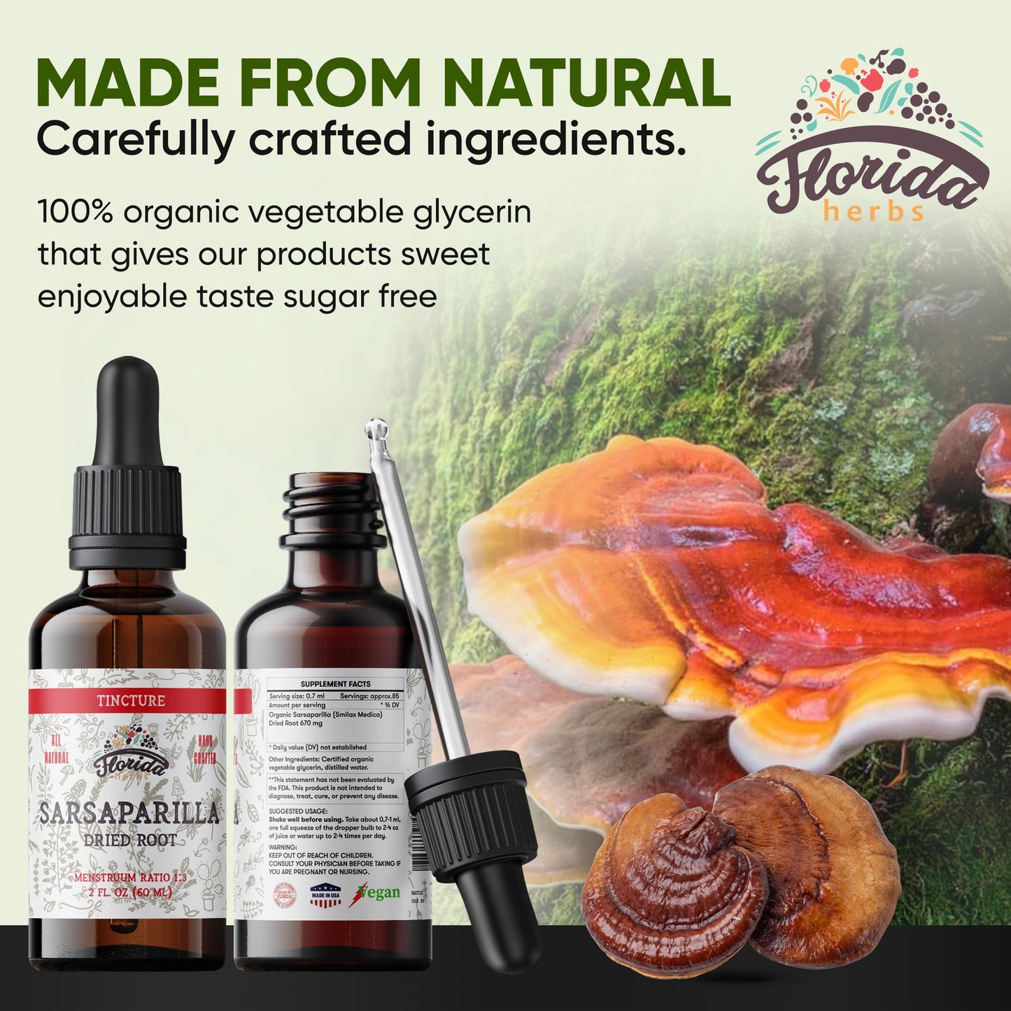 Florida Herbs Reishi Tincture - Organic Ganoderma Lucidum Extract, 2 oz (60 ml), Pack of 2