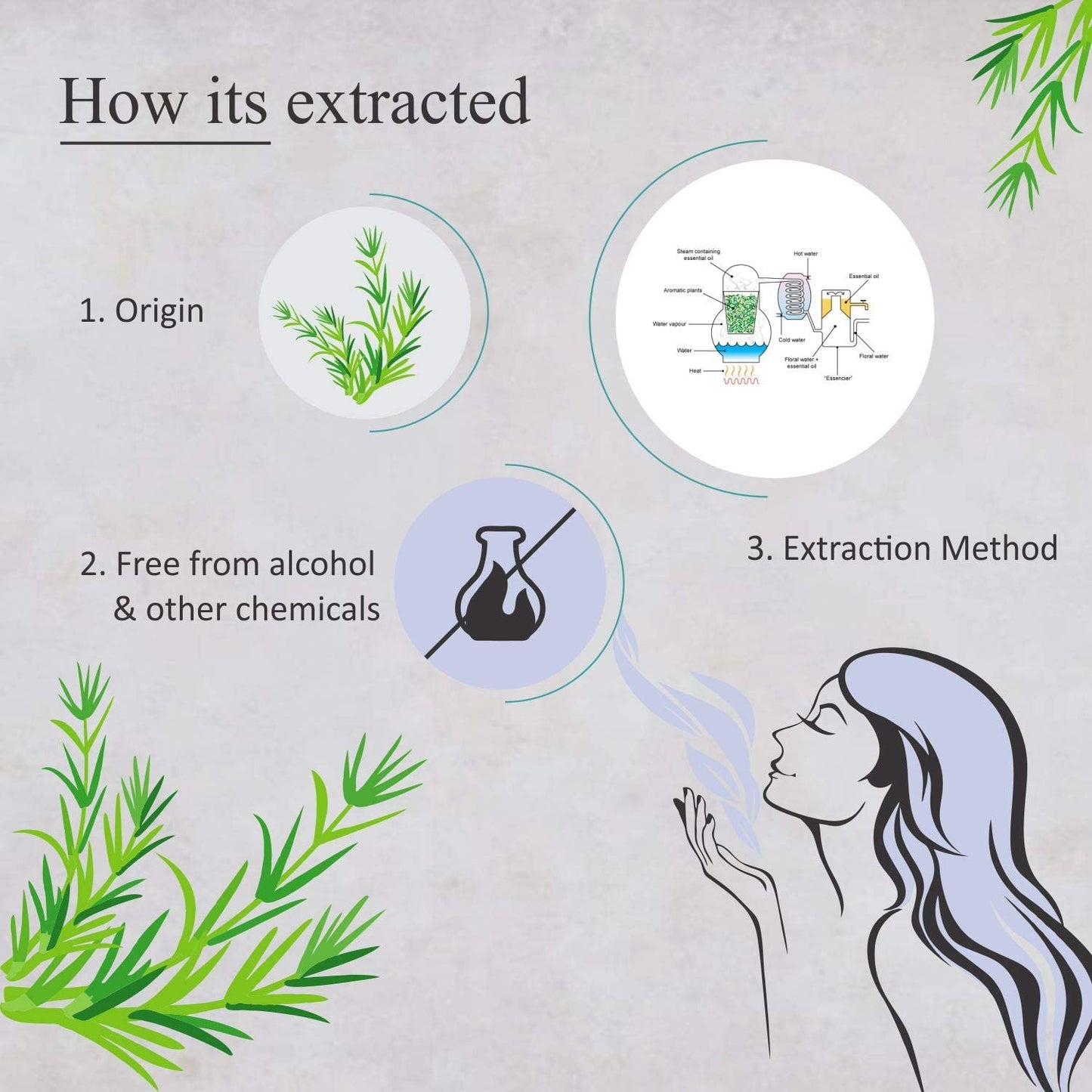 Florona Rosemary Essential Oil - 100% Pure & Natural, 4 oz | Hair & Skin Care, Aromatherapy