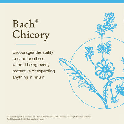 Bach Chicory – Love Unconditionally (20mL) – Original Flower Remedy (Vegan, GF, Sugar-Free)