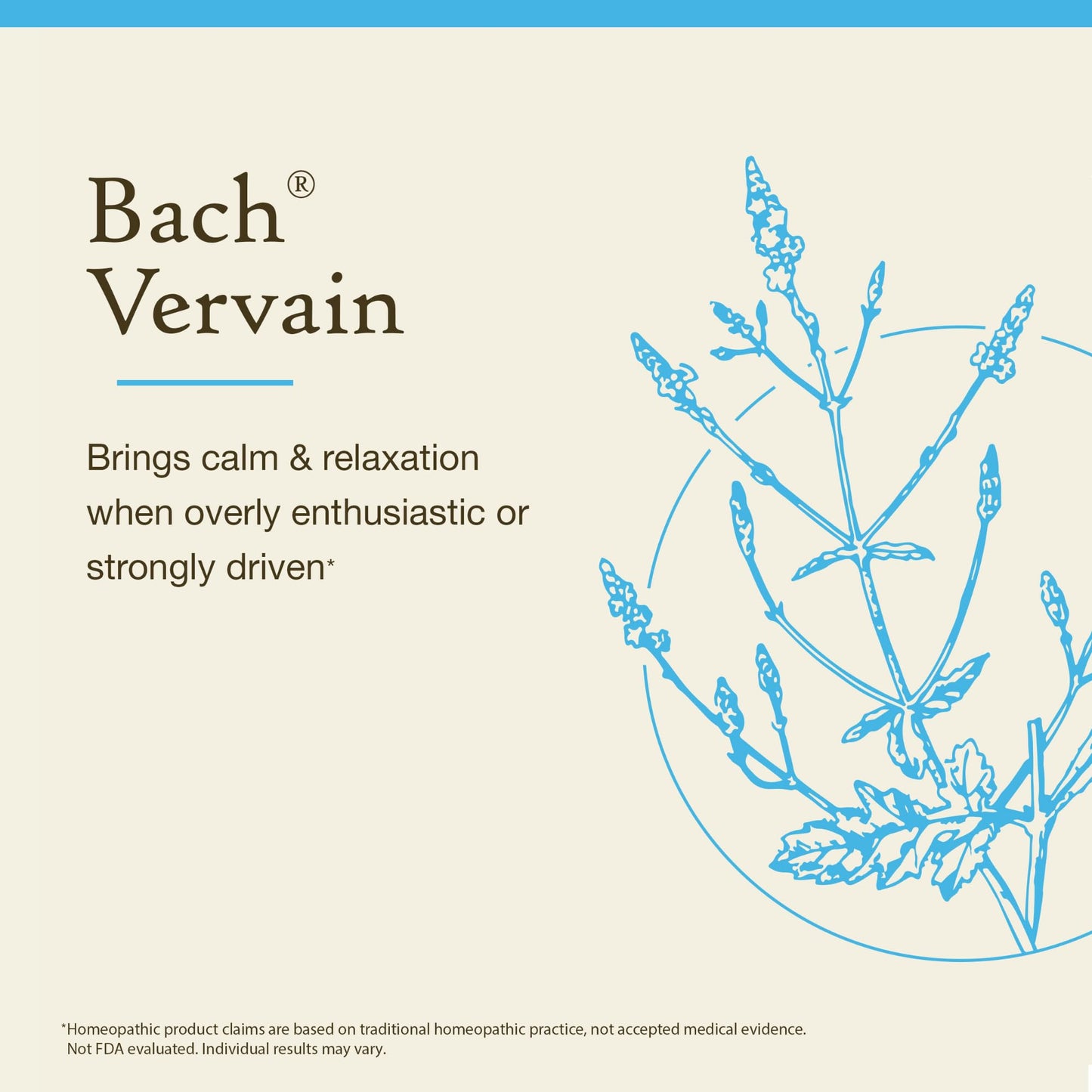 Bach Vervain - Non-Alcohol Flower Remedy for Relax & Calm | 10mL Dropper