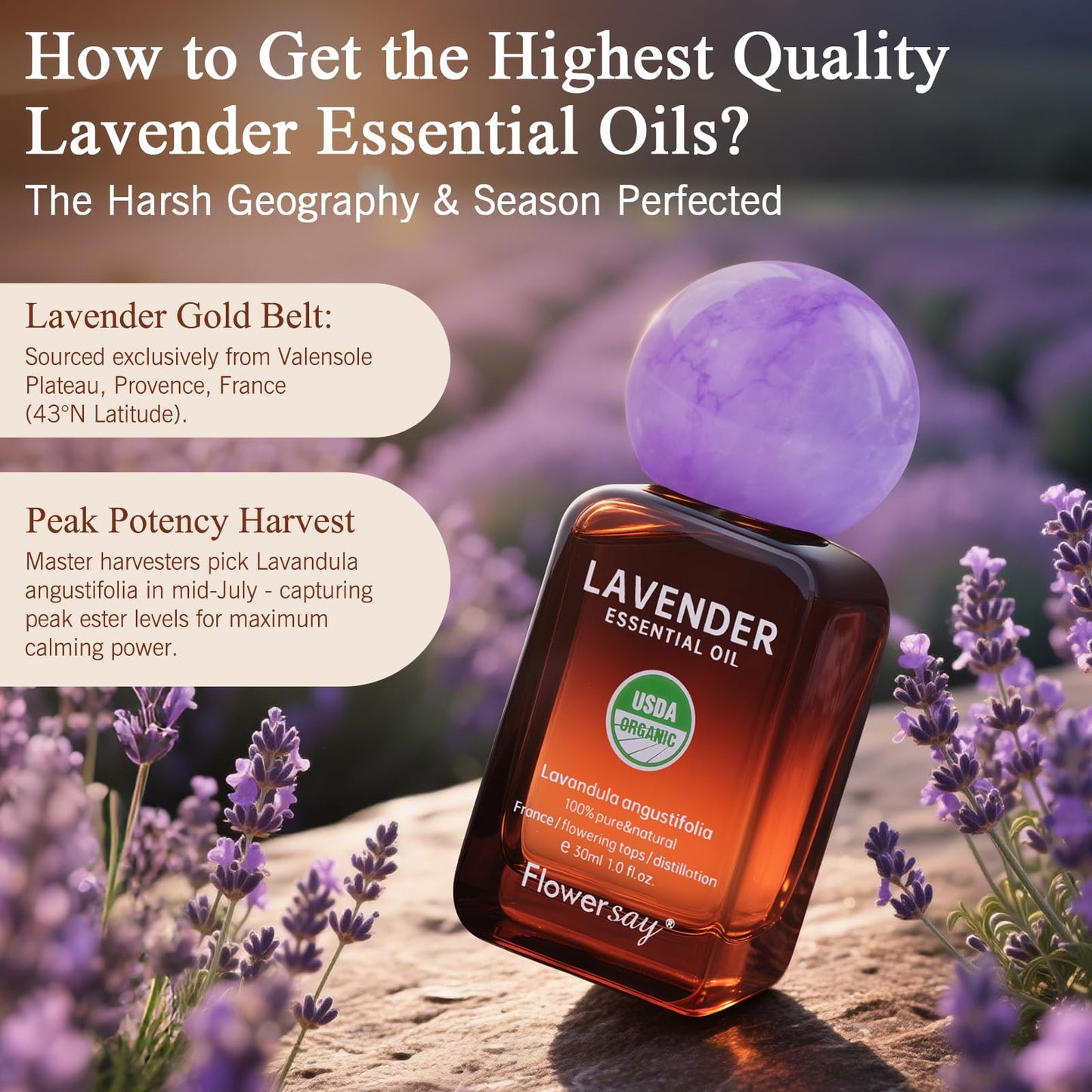 Flower Say Lavender Essential Oil 30ml | 100% Pure & USDA Organic