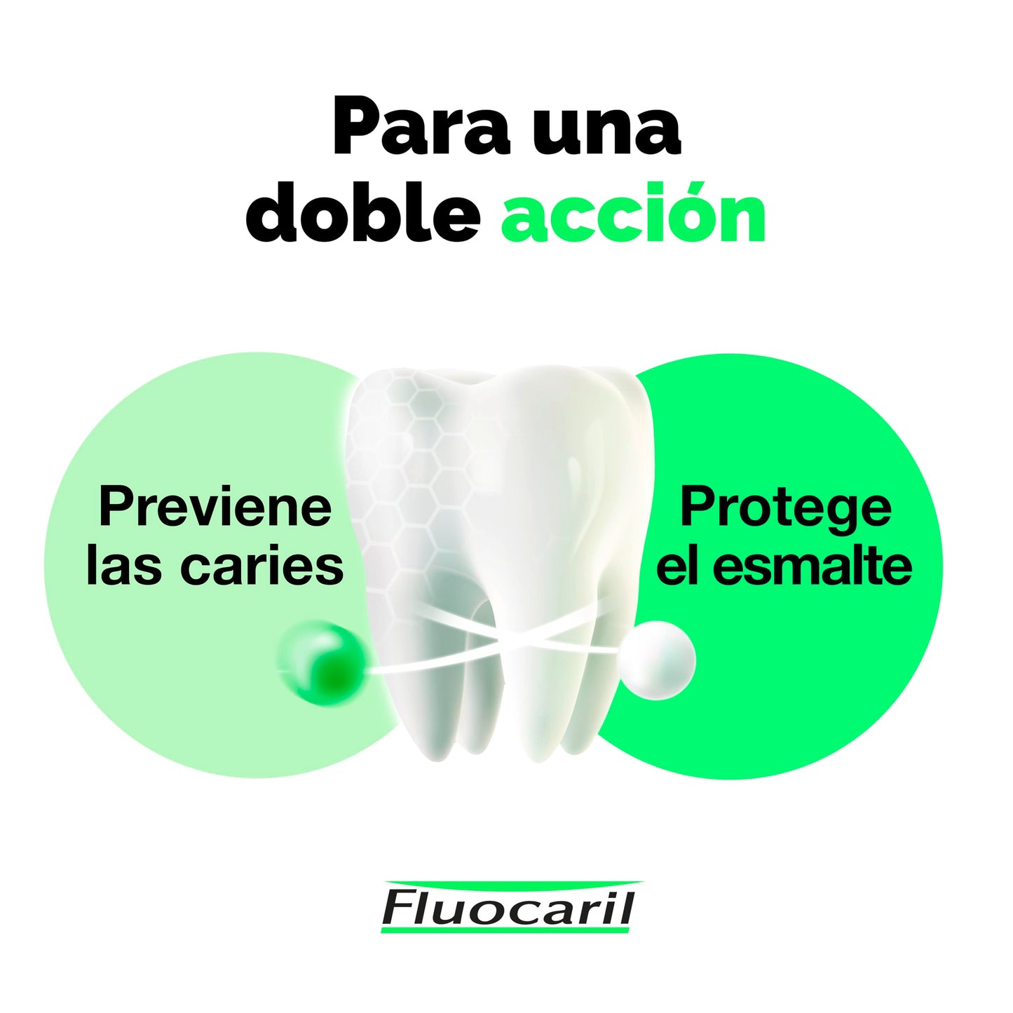 Fluocaril Bi-Fluore Duplo 145 mg Mint 2 x 75 ml – Neutral