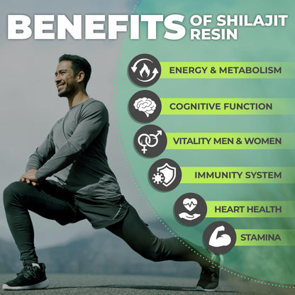 FlyFeel Shilajit Resin – Pure Organic Shilajit Gold Grade, 50g (100 Servings)
