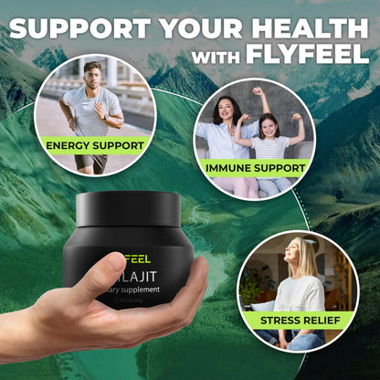FlyFeel Shilajit Resin – Pure Organic Shilajit Gold Grade, 50g (100 Servings)