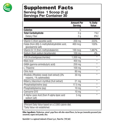 Nutra Biogenesis Focus Fizz – GABA L-Theanine Powder for Calm Focus