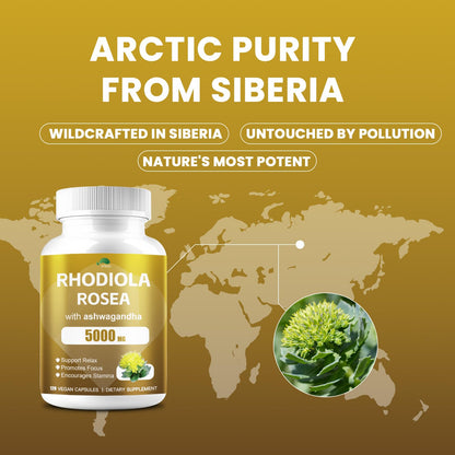 4000MG Rhodiola Rosea with Ashwagandha – Organic Adaptogen for Clarity & Vitality | 120 Capsules