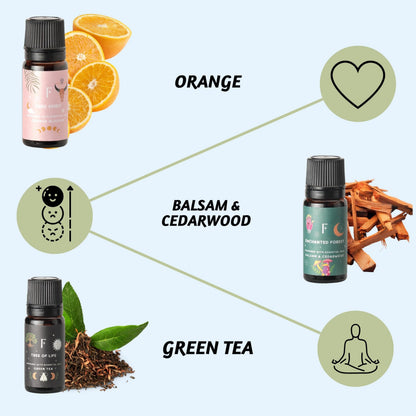 Folkulture Essential Oils for Diffuser Oil | Set of 6 Fragrance Oil or Diffuser Oils Scents for Home | Diffuser Essential Oil | Fragrance Oil for Diffusers- White Sage, Cedarwood