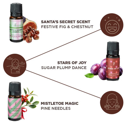 Folkulture Christmas Essential Oils for Diffuser – 6 x 2 oz Set (Vanilla, Cinnamon, Pine & Eucalyptus)