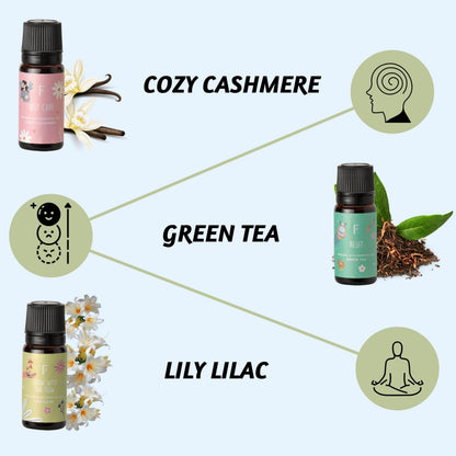 Folkulture Essential Oils for Diffuser – Set of 6 Fragrances (Green Tea, Ocean Salt)