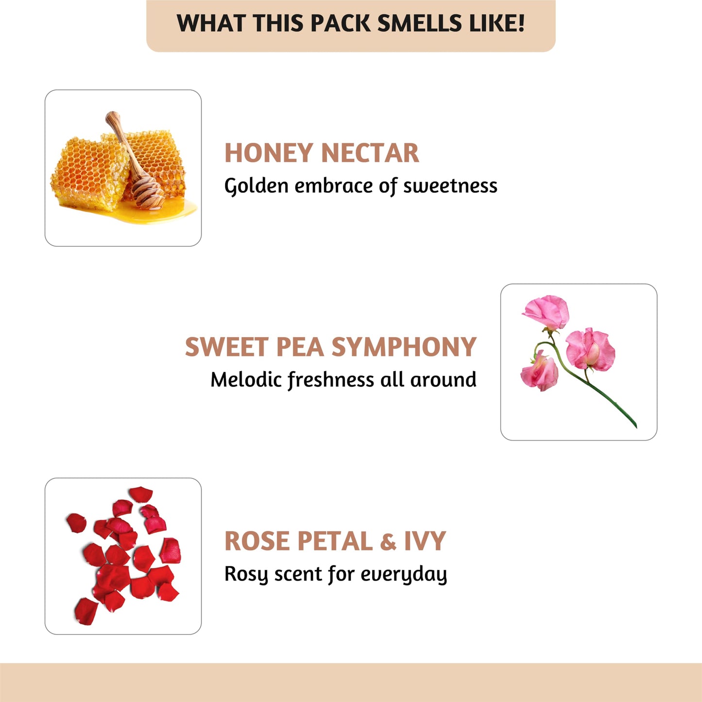 Folkulture Essential Oils for Home – Set of 6 Diffuser Oils (0.34 fl oz each) Beach Collection