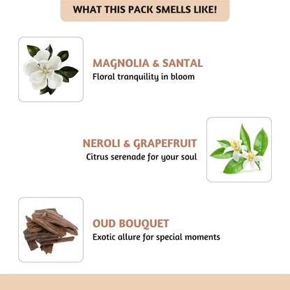 Folkulture Essential Oils for Home – Set of 6 Diffuser Oils (0.34 fl oz each) Beach Collection