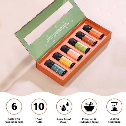 Folkulture Fall Essential Oils Diffuser Set – 6x0.34 fl oz (60 ml) Pumpkin Spice / Pumpkin Pie Scent