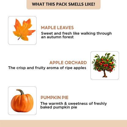Folkulture Fall Essential Oils Diffuser Set – 6x0.34 fl oz (60 ml) Pumpkin Spice / Pumpkin Pie Scent