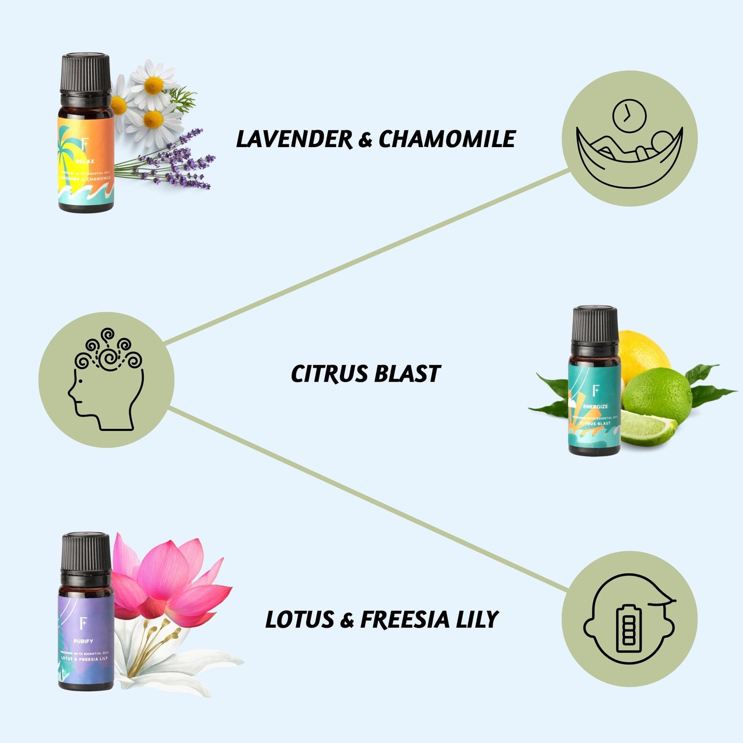 Folkulture Essential Oils for Diffuser Oil - 6-Pack Fragrance Oils for Home | Lavender & Sandalwood