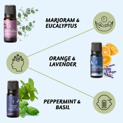 Folkulture Sleep Essential Oils Set – 6 Christmas Diffuser Oils (Lavender, Rosemary & Peppermint)