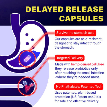 FOLONA Akkermansia GLP-1 Probiotic with Berberine & Beta-Glucan – Delayed-Release, 60 Capsules