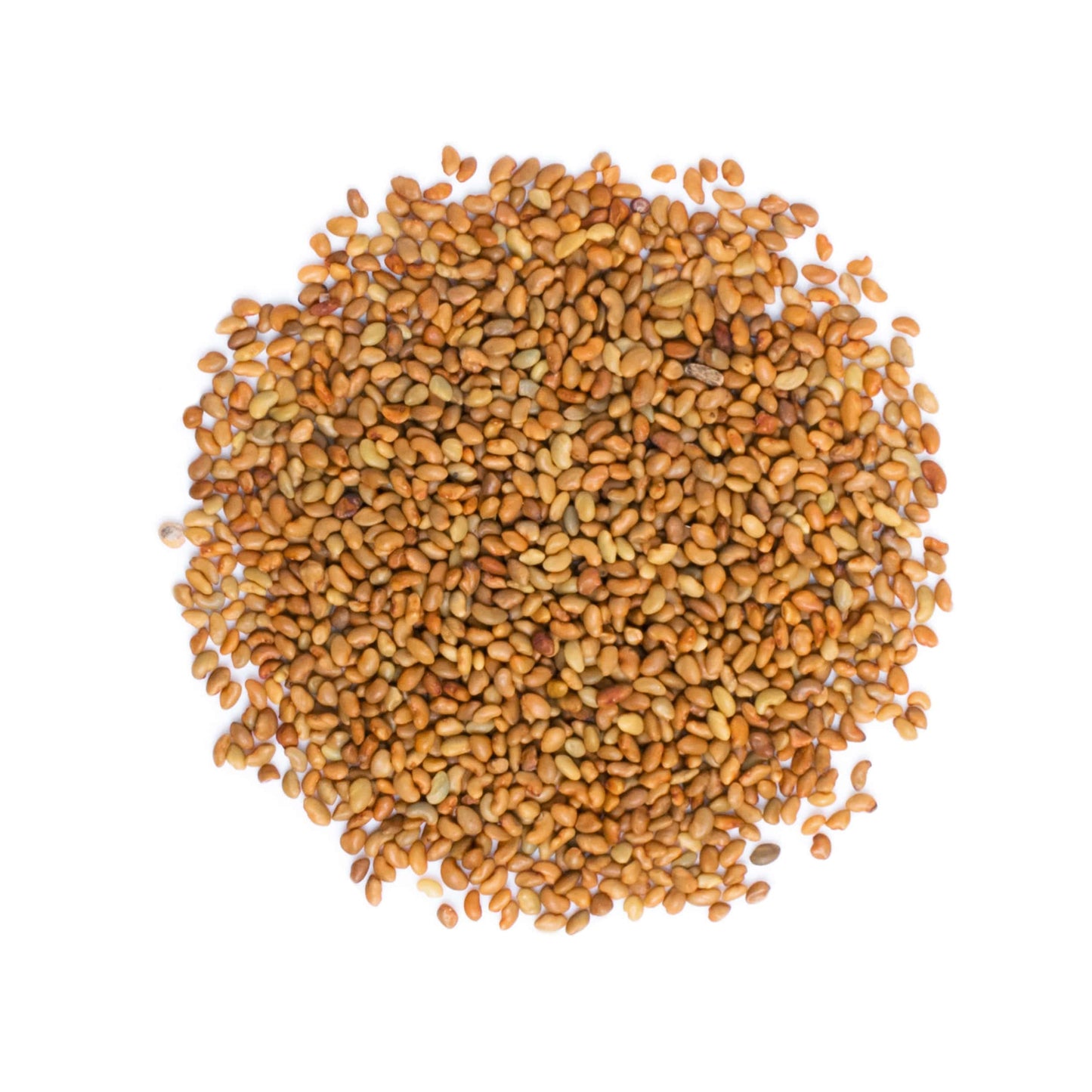 Food to Live Organic Alfalfa Sprouting Seeds - 8 oz, Non-GMO, Kosher, Raw