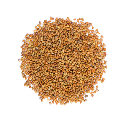 Food to Live Organic Alfalfa Sprouting Seeds - 8 oz, Non-GMO, Kosher, Raw