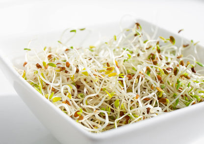 Food to Live Organic Alfalfa Sprouting Seeds - 8 oz, Non-GMO, Kosher, Raw