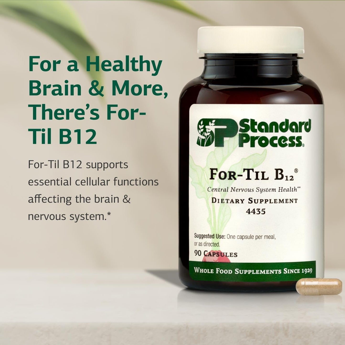 Standard Process for-Til B12 | Brain & Nervous System Support (90 Caps)