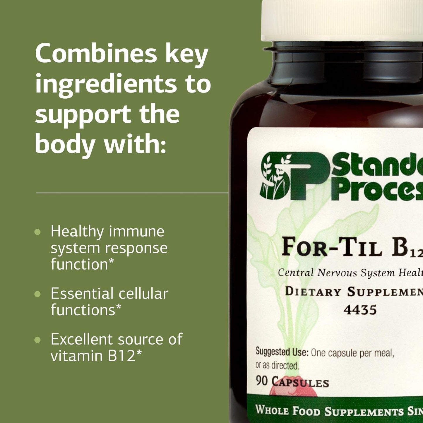 Standard Process for-Til B12 | Brain & Nervous System Support (90 Caps)