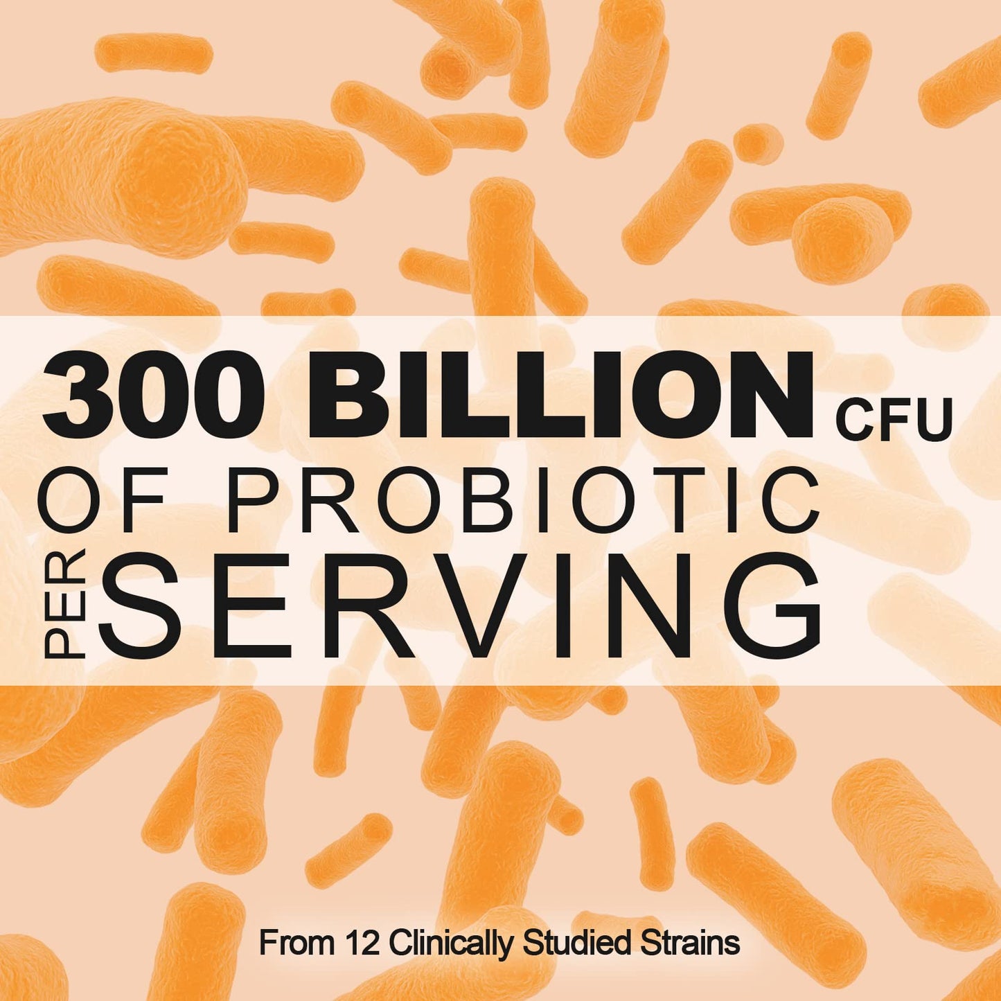 300 Billion CFU Probiotics - Gut Health, 12 Strains + Prebiotic, 60 Caps